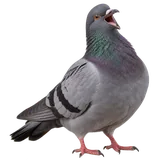 A cheeky pigeon caught mid-laugh
