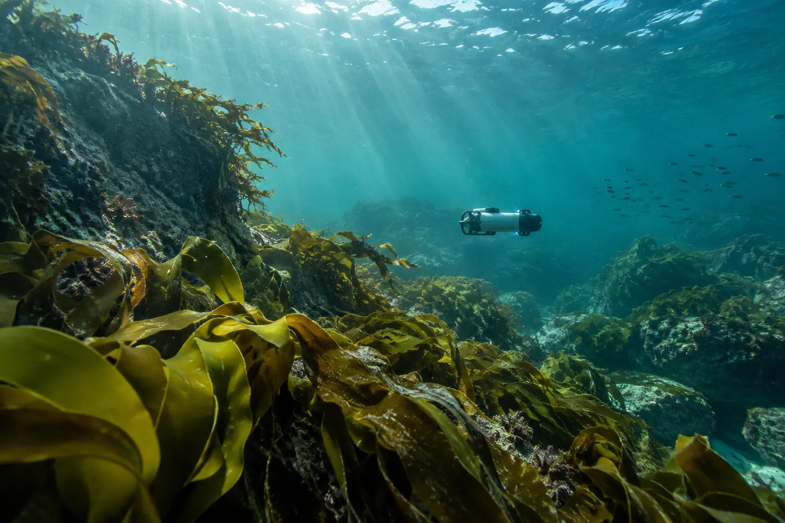 Uncrewed underwater vehicle in a fictional AUKUS uncrewed underwater technology 2026 kelp scene