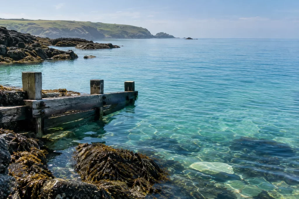 Still clear water laps against seaweed covered rocks and an empty wooden groyne on a bright coast.