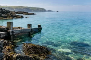Still clear water laps against seaweed covered rocks and an empty wooden groyne on a bright coast.