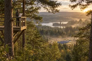 One laughing adult forestry engineer stands far away on a wooden platform above a wooded clearing with a small solar array.