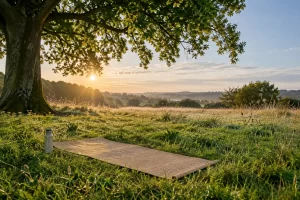 An empty woven yoga mat and a plain water bottle rest on dewy grass beneath a mature tree.