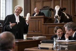 Laughing barrister holds an unbranded oat drink carton while a cow watches from the witness box in a wood-panelled courtroom.