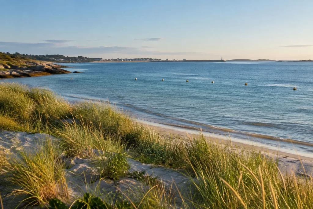 Dune grasses look across clear water and a quiet coastal restoration line in an early morning bay.
