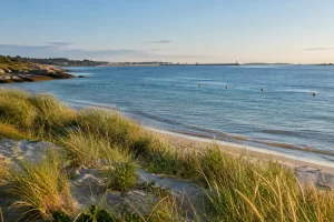 Dune grasses look across clear water and a quiet coastal restoration line in an early morning bay.