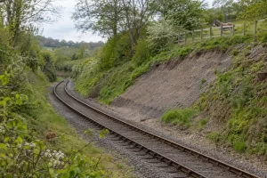 A small dormouse and a grey donkey overlook a restored rural railway cutting in spring.