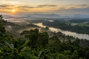 A tropical forest canopy and river stretch toward a misty city edge at sunrise.